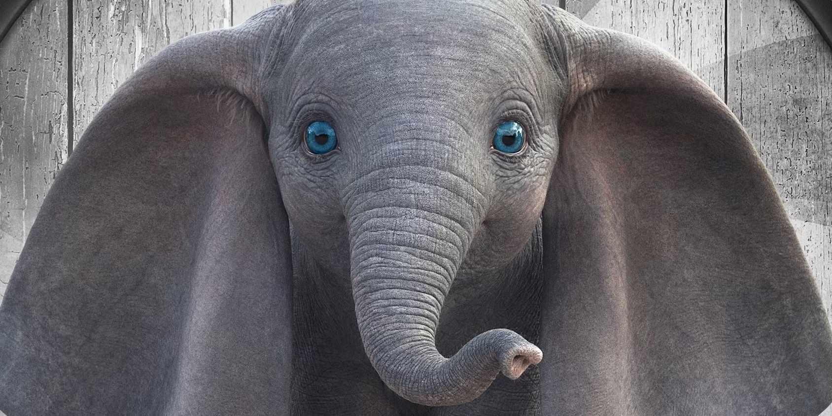دامبو در Dumbo 2019 با چشمان آبی روشن مستقیم به جلو خیره شده است، از جمله بهبودهای لایو اکشن دیزنی.