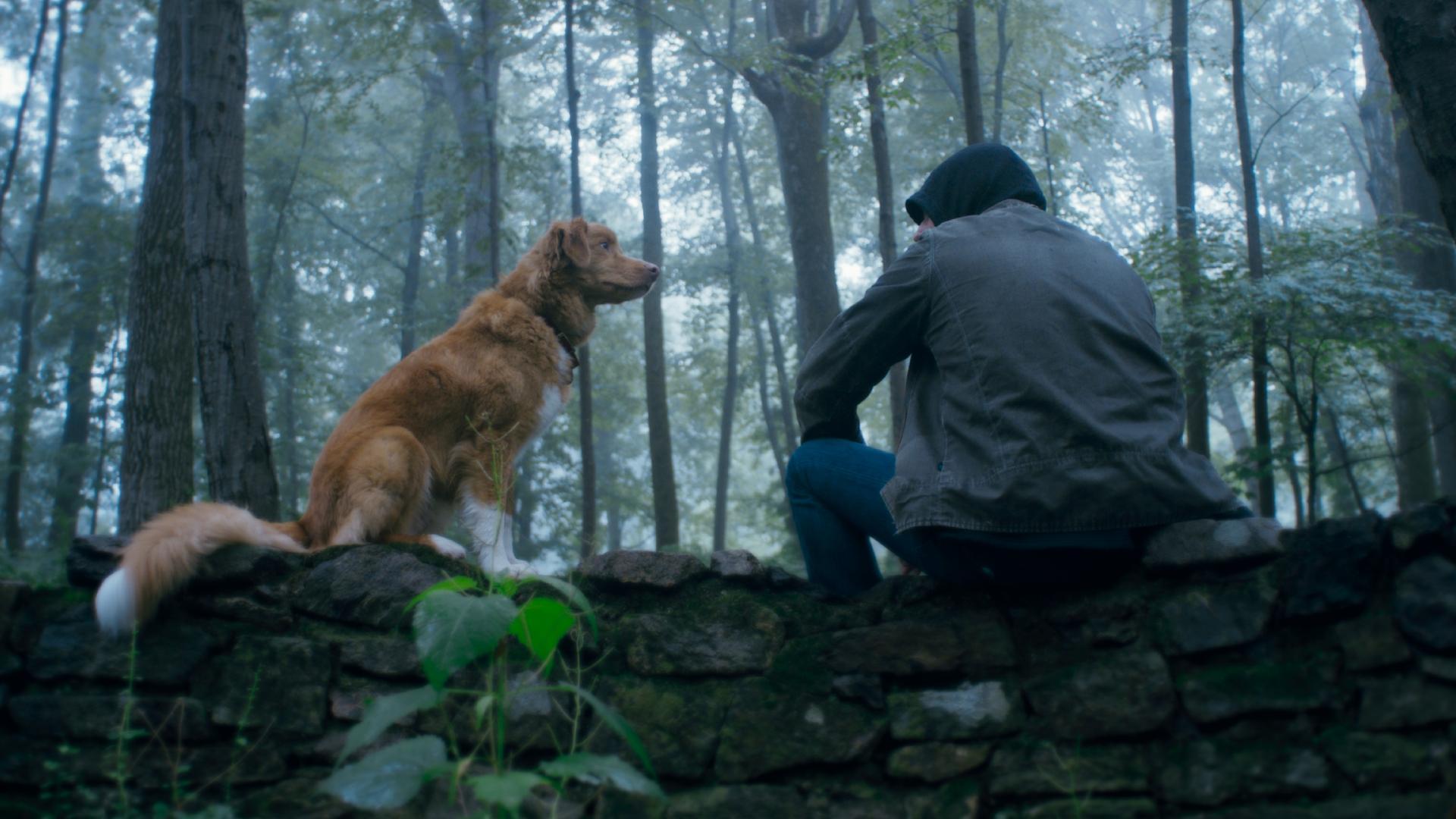 ایندی، سگ در فیلم Good Boy سلامت سگ Indy