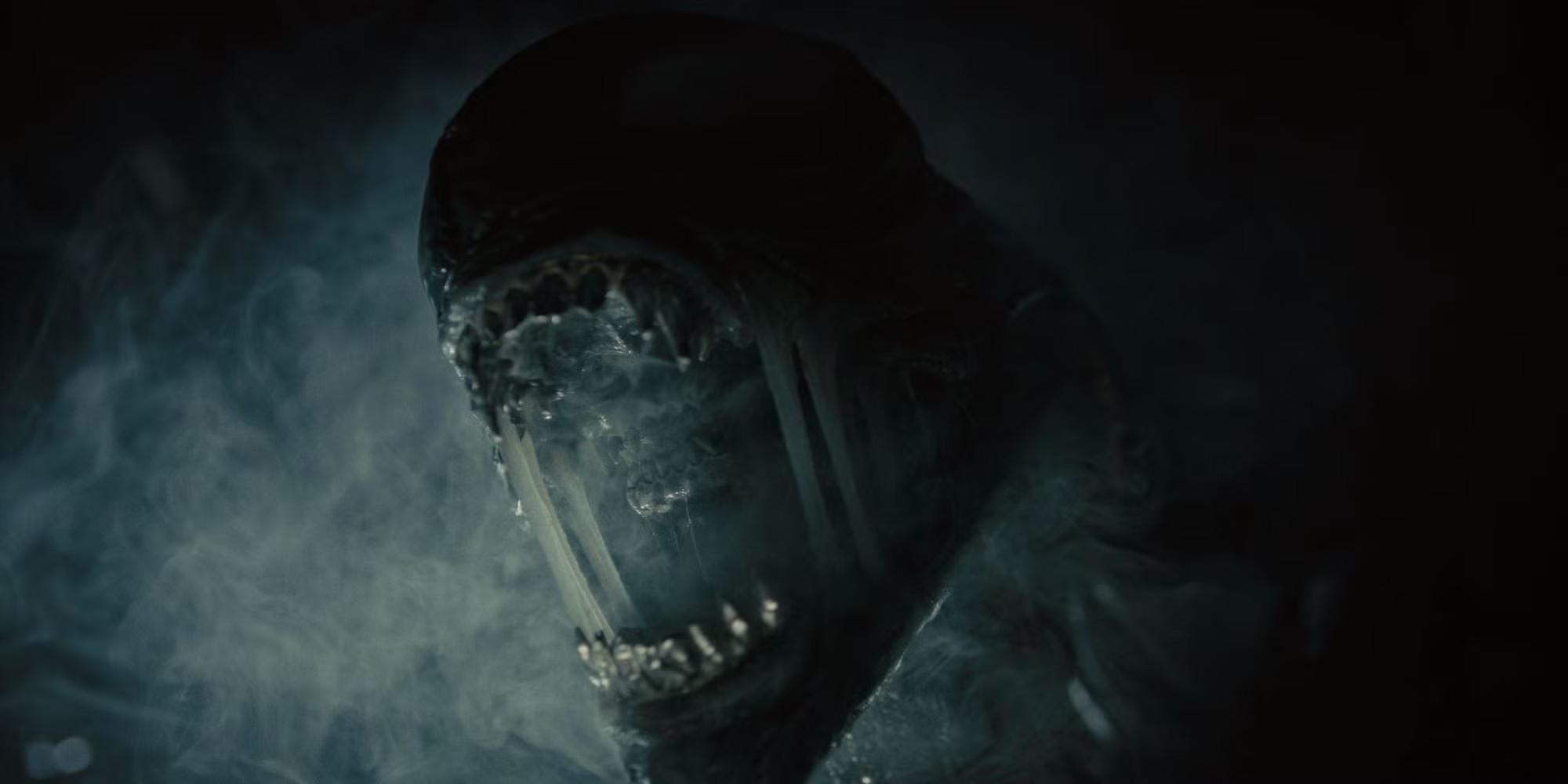 زنومورف از Alien: Romulus - Peacemaker Superman ایستر اگ