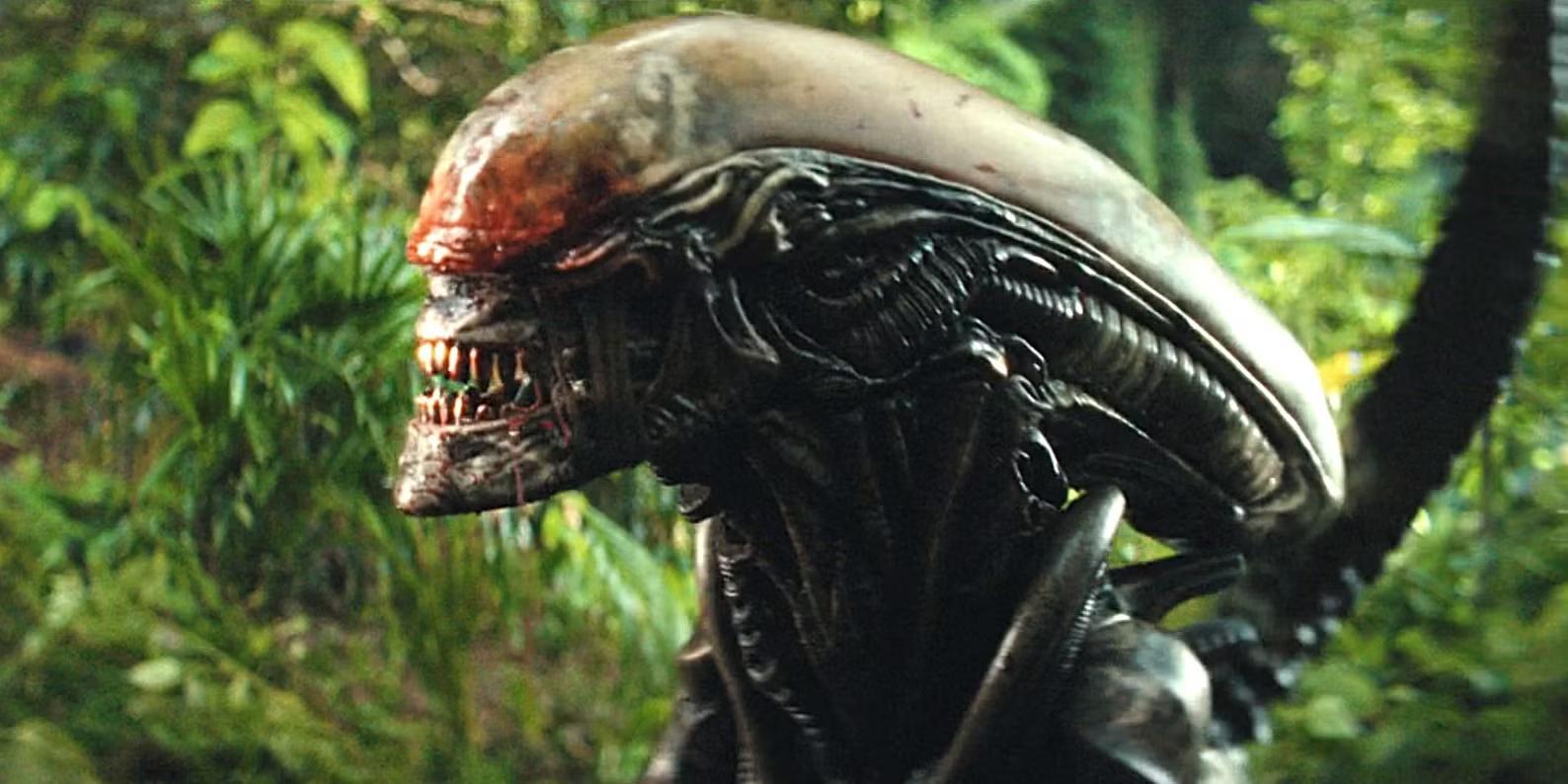 یک Xenomorph با خون روی دهانش و حقایق جدید Xenomorphs در فصل 1، قسمت 7 سریال Alien: Earth