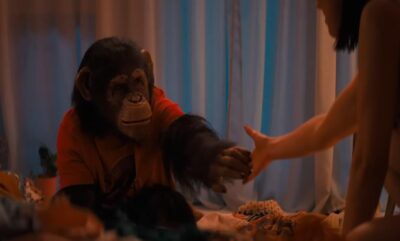 تریلر جدید فیلم ترسناک Primate: هرگز به یک شامپانزه اعتماد نکنید!