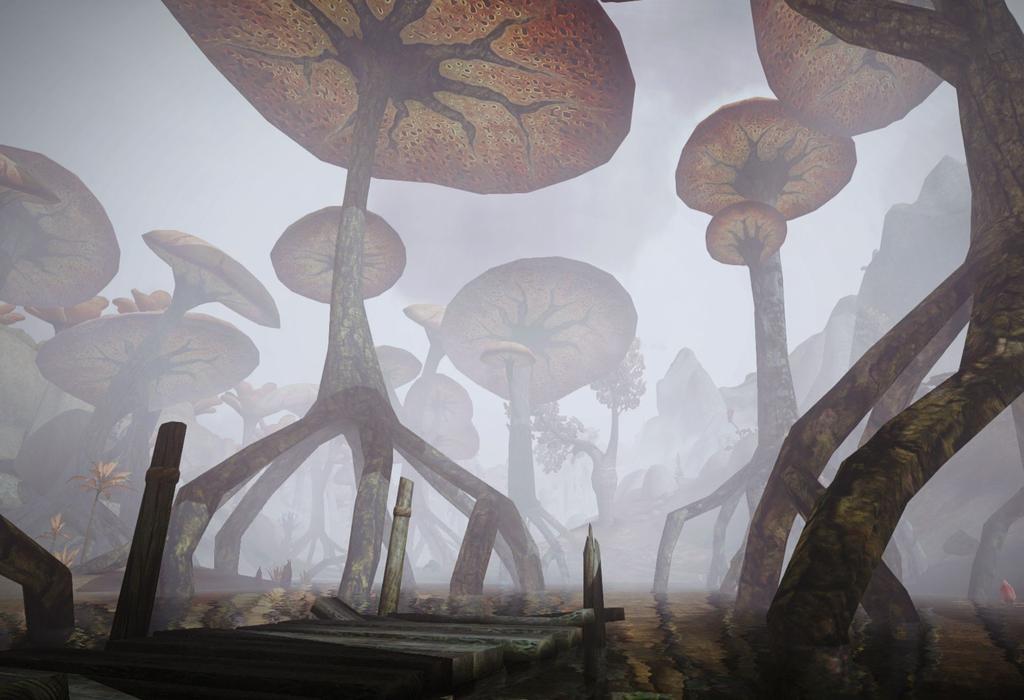 The Elder Scrolls III: Morrowind: عضویت در House Indoril Morrowind آرزوی 20 ساله طرفداران