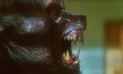 تماشای رایگان The Howling: هر 8 فیلم این فرنچایز گرگینه را می توانید رایگان تماشا کنید