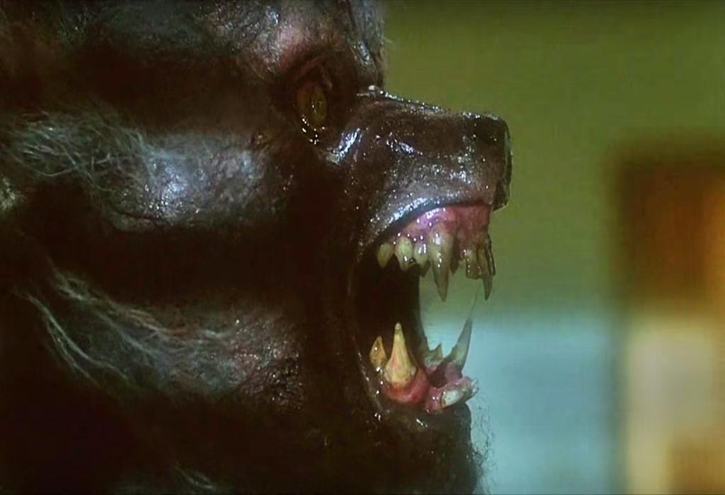 تماشای رایگان The Howling: هر 8 فیلم این فرنچایز گرگینه را می توانید رایگان تماشا کنید