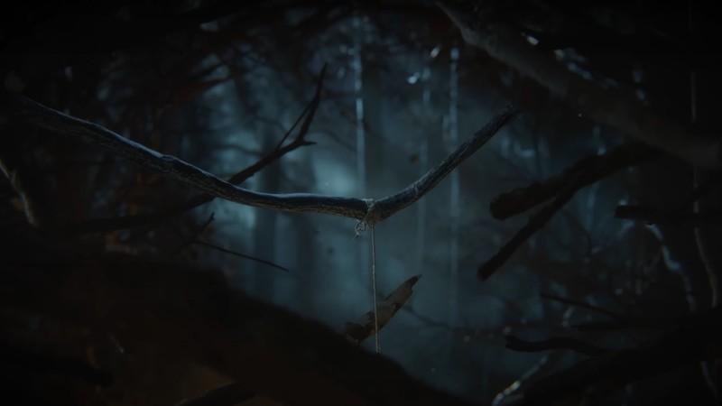 A screenshot of a dark woods during the reveal trailer for Assassin's Creed: Codename Hexe. Assassin's Creed Hexe اطلاعات