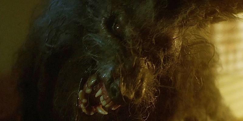 تماشای رایگان The Howling: یک گرگینه در شکل نهایی خود در The Howling (1981)