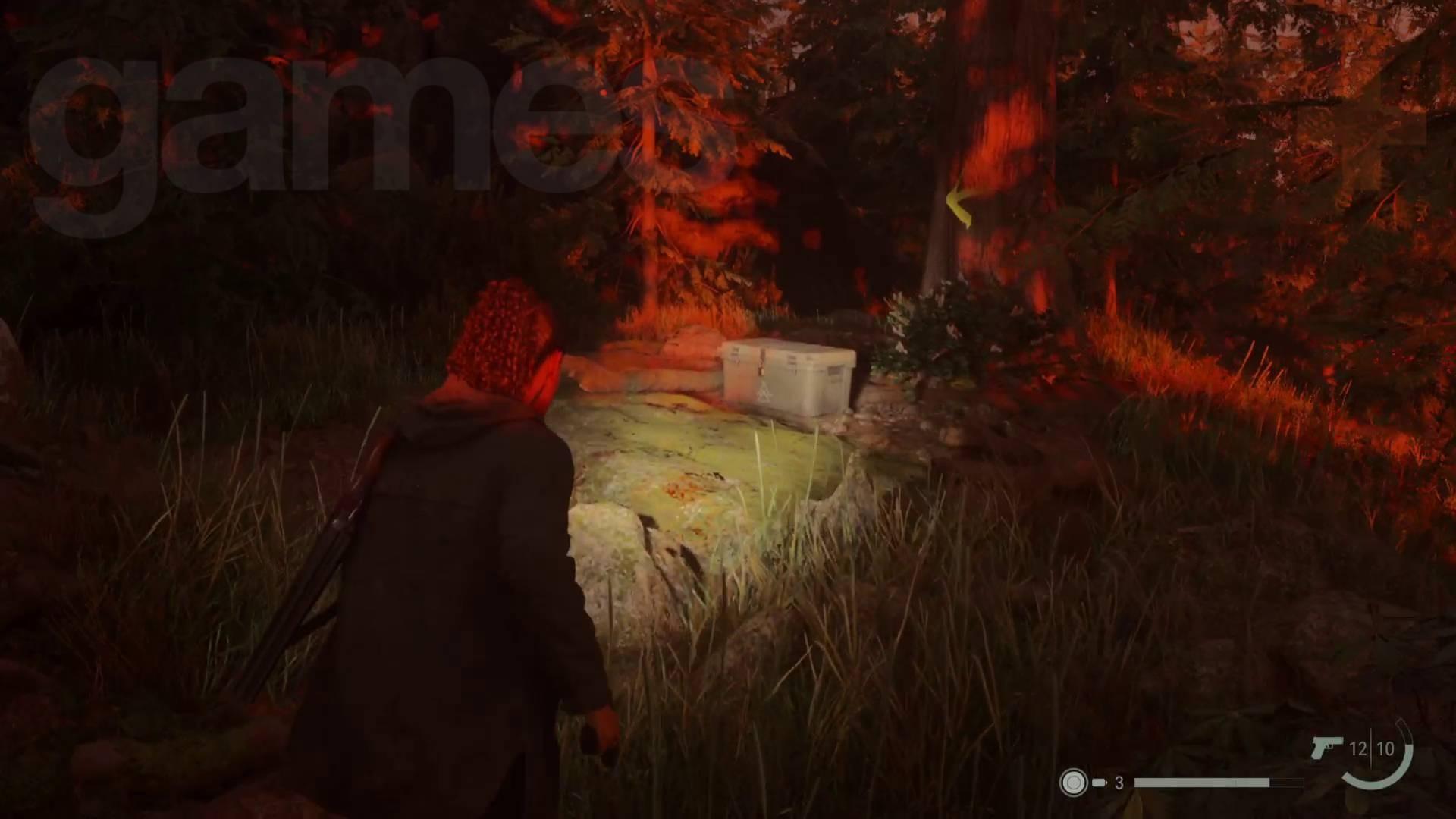 مخفیگاه جنگل Bright Falls 2 Alan Wake 2 راه حل جعبه مخفی