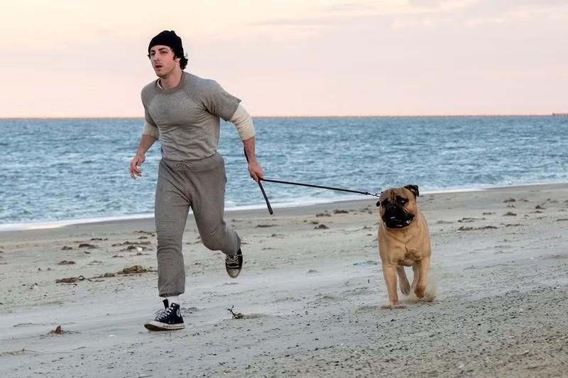 آنتونی ایپولیتو در نقش سیلوستر استالونه در I Play Rocky - I Play Rocky Sylvester Stallone