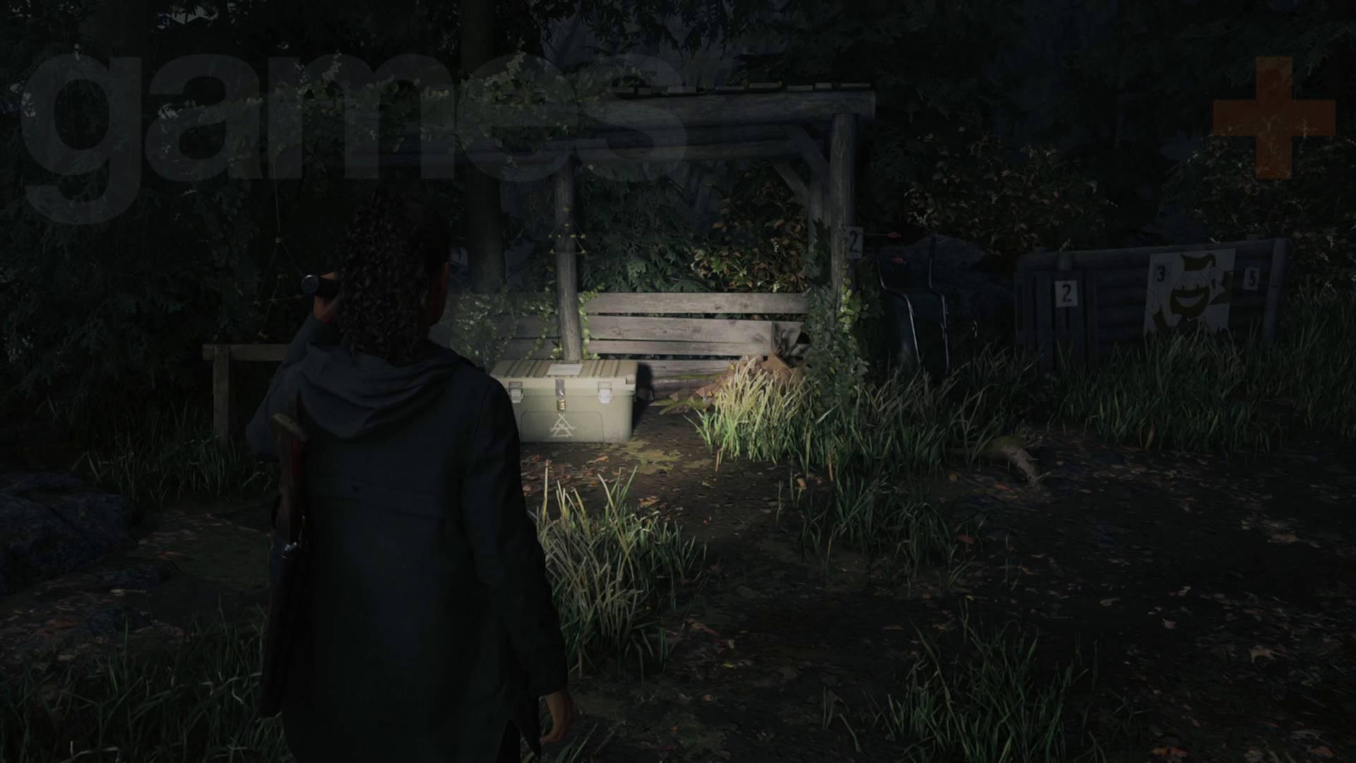 مخفیگاه میدان تیر Watery Alan Wake 2 راه حل جعبه مخفی