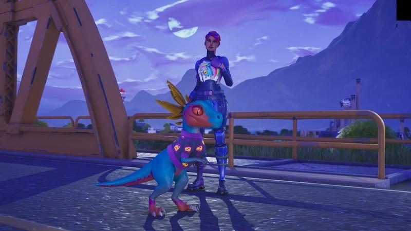 همراهان Fortnite