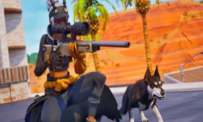 هزینه تمام Sidekick Fortnite: خرید تمامی مدل ها بیش از 17000 دلار