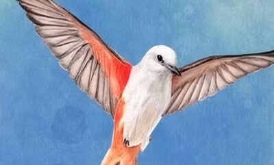 بدترین اشتباهات در نگهداری بازی رومیزی: از بی نظمی تا گم شدن قطعات