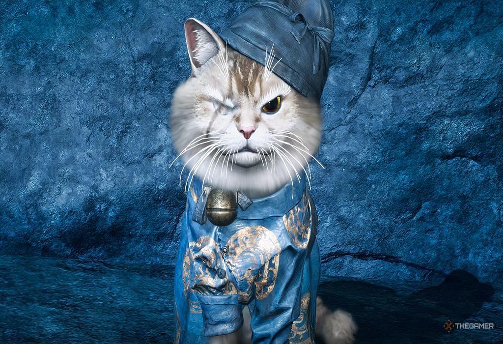 Where Winds Meet راهنمای کامل Meow Meow: مکان های پازل و ماموریت ها در Qinghe