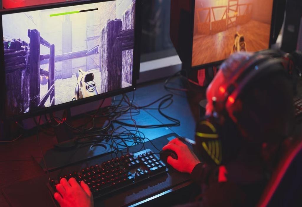 هجوم کاربران برای کمک مالی به FitGirl: حمایت از ری پکر معروف بازی ها