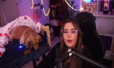 سگ گیمر Marvel Rivals: آشنایی با درمانگر چهارپا در بازی