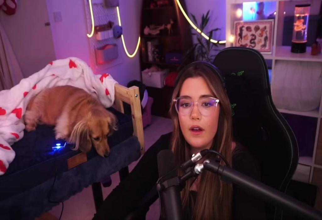 سگ گیمر Marvel Rivals: آشنایی با درمانگر چهارپا در بازی