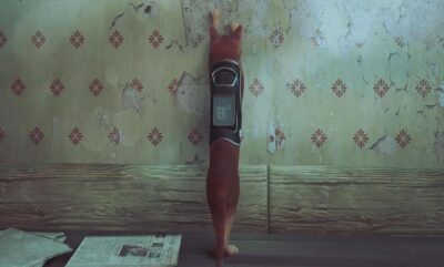 تمامی Stray مکان های خراش: راهنمای کامل برای تروفی Territory