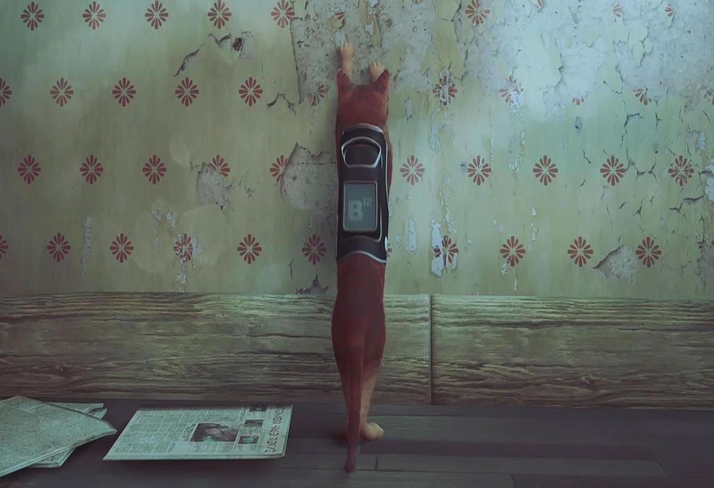 تمامی Stray مکان های خراش: راهنمای کامل برای تروفی Territory