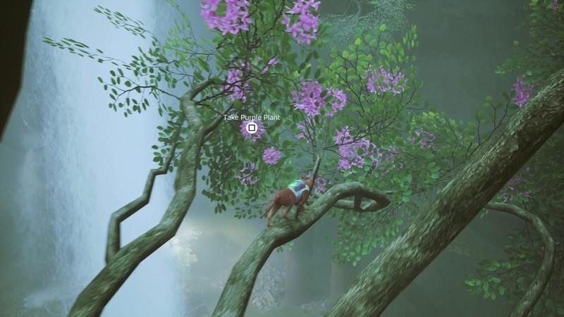 راهنمای گرفتن نشان گیاه Stray - گیاه بنفش