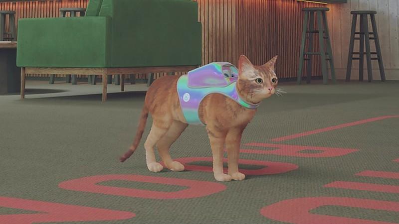 جایزه پیدا کردن خاطرات Stray B-12