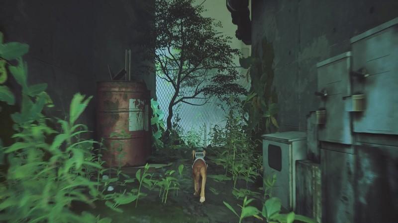 مکان پیدا کردن خاطرات Stray B-12