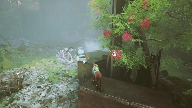 راهنمای گرفتن نشان گیاه Stray - گیاه قرمز