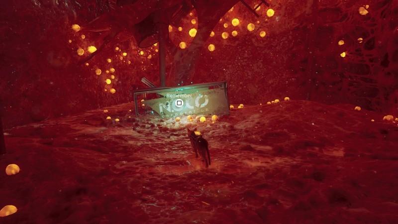 مکان پیدا کردن خاطرات Stray B-12