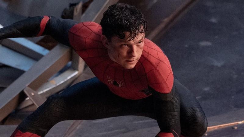 تام هالند (Tom Holland) در نقش پیتر پارکر (Peter Parker) در حال مبارزه با گرین گابلین (Green Goblin) در Spider-Man: No Way Home در حالی که به آینده The Punisher در MCU اشاره دارد.