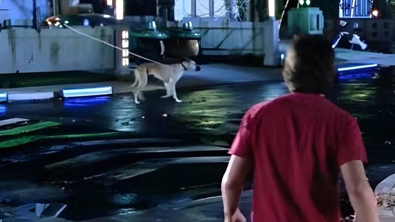 The drone dog walker in Back to the Future پیش بینی ها که واقعی شد