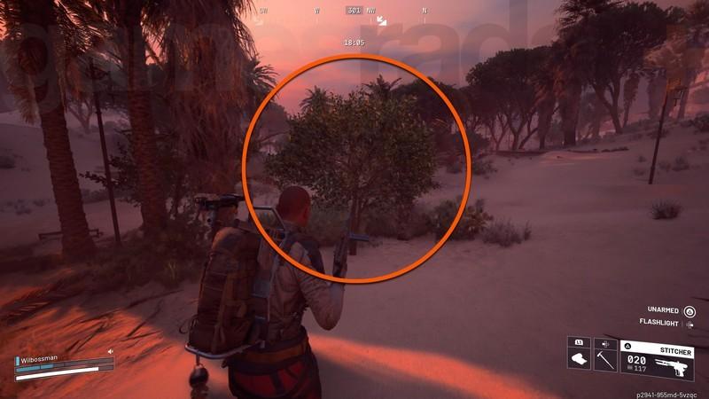 نحوه رشد زردآلوها برای Arc Raiders چگونه زردآلو پیدا کنیم