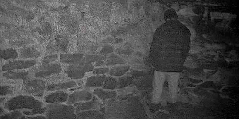 مایک (مایکل سی. ویلیامز) در گوشه زیرزمین، یکی از پایان های تلخ فیلم ترسناک The Blair Witch Project.