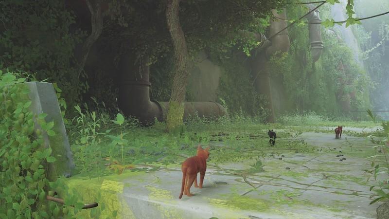 Stray مکان های خراش