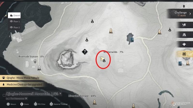 پازلی دیگر نزدیک Witherwilds در Where Winds Meet راهنمای کامل Meow Meow.