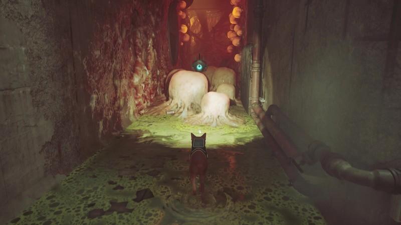 مکان پیدا کردن خاطرات Stray B-12