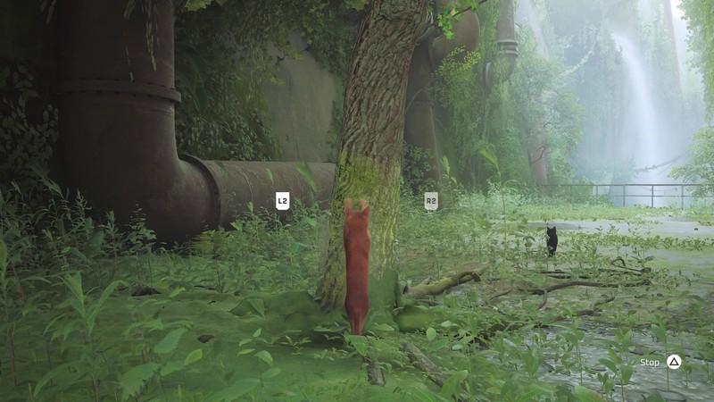 How to scratch in Stray