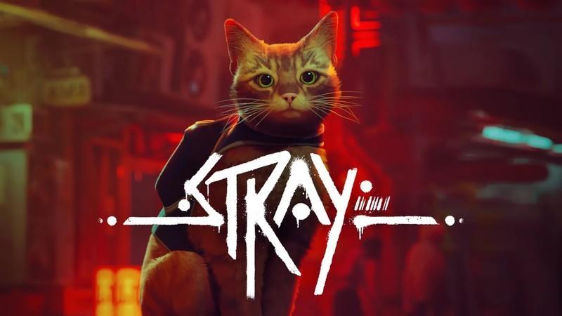 گربه از Stray، یکی از بازی های PS Plus این ماه.