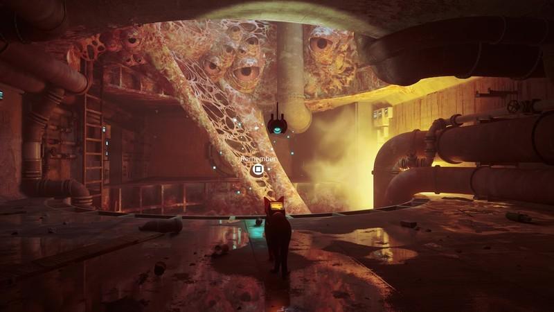 مکان پیدا کردن خاطرات Stray B-12