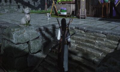 راهنمای مکان گربه ها کایفنگ در Where Winds Meet