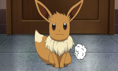 چرا کلکسیونرها برای کارت Pokemon چرخش باد حاضر به پرداخت مبالغ گزاف هستند؟