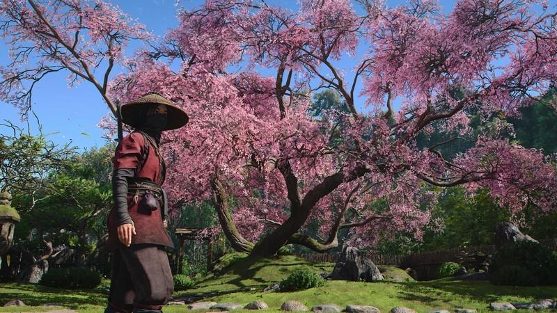 نکات شروع بازی Assassin's Creed Shadows: فصول و محیط بازی