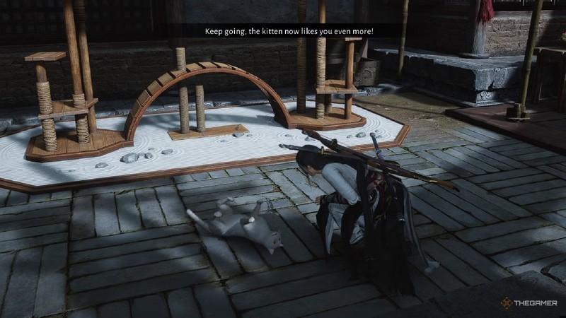 نوازش یک بچه گربه در بازی مکان گربه ها کایفنگ Where Winds Meet.