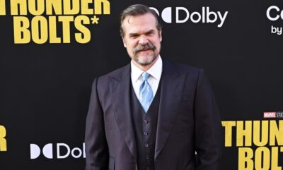 دیوید هاربر جدایی فیلم Pedro Pascal را پس از پایان Stranger Things تایید کرد