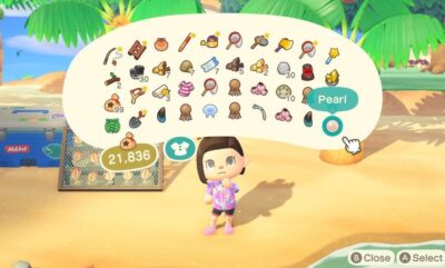 راهنمای کامل پیدا کردن مروارید Animal Crossing: New Horizons