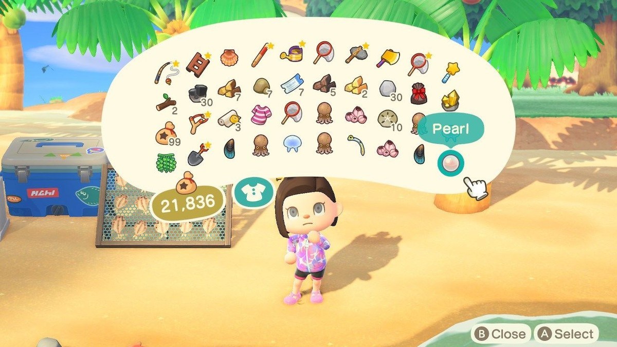 راهنمای کامل پیدا کردن مروارید Animal Crossing: New Horizons