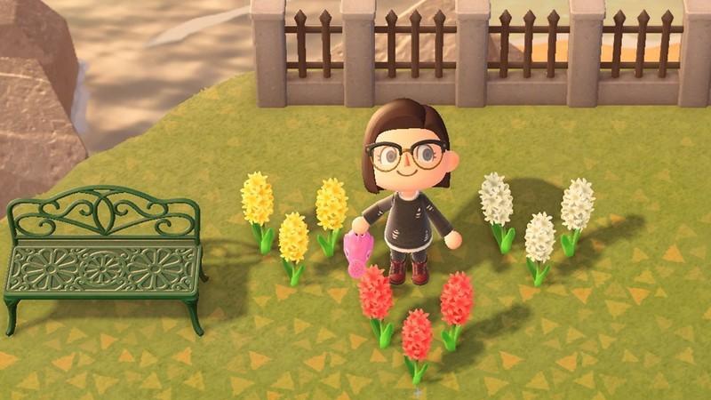 گل ترکیبی Animal Crossing New Horizons: راهنمای پرورش سنبل