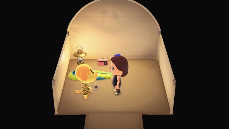 ساکن دعوت شده به کمپ برای کار با amiibo در Animal Crossing New Horizons