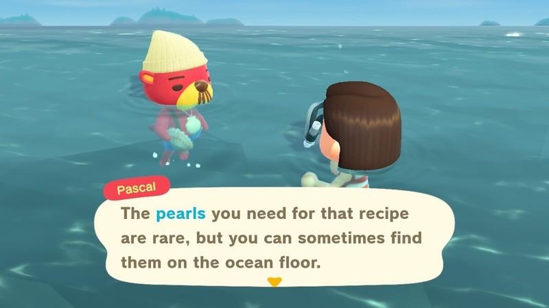 پیدا کردن مروارید Animal Crossing: New Horizons - پاسکال در حال تبادل اسکالوپ
