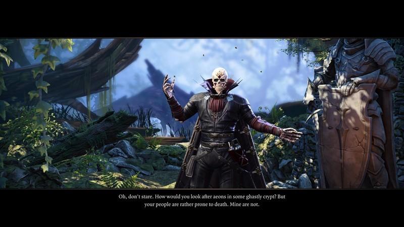 Divinity Original Sin 2 Origin بهتره یا Custom