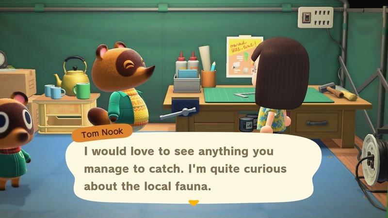 تام نوک و شروع فرآیند ساخت موزه در Animal Crossing: New Horizons