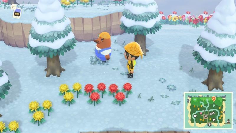 شخصیت رزتی در حال پرسه زدن در جزیره، نمایش کار با amiibo در Animal Crossing